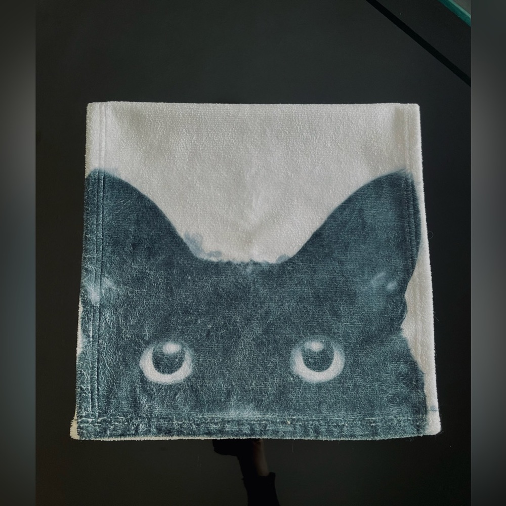 Black Cat Towel